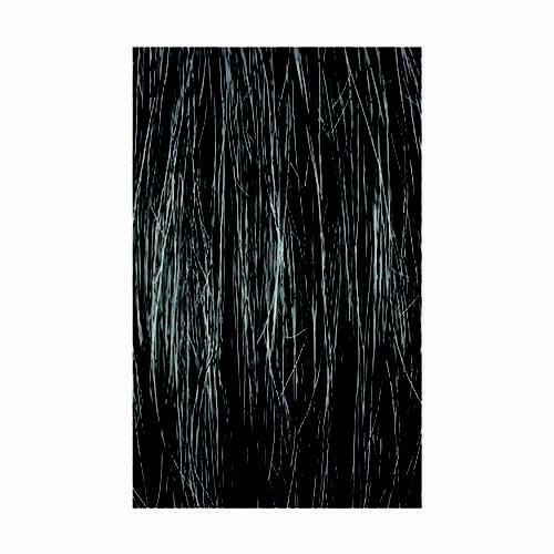 ヘアピース TX20(ホワイトミックス)