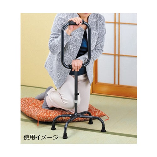 テトラ・ケイン ラージベース