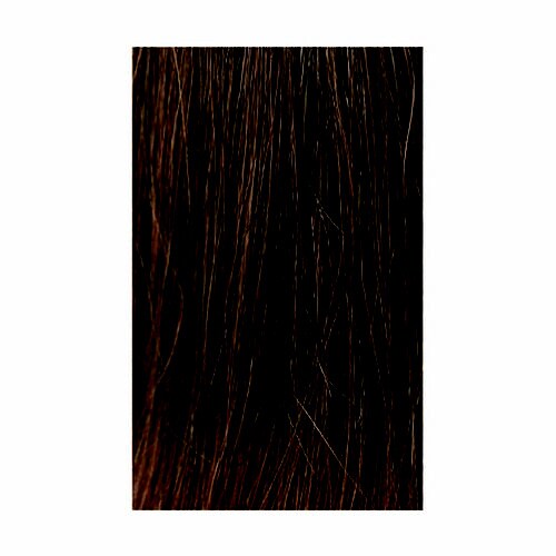 フルウィッグ TNE(ナチュラルカシス