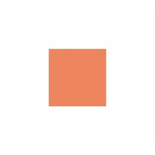 ラシャ紙 全判 橙 10枚