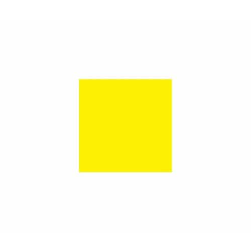 ラシャ紙 全判 レモン 10枚