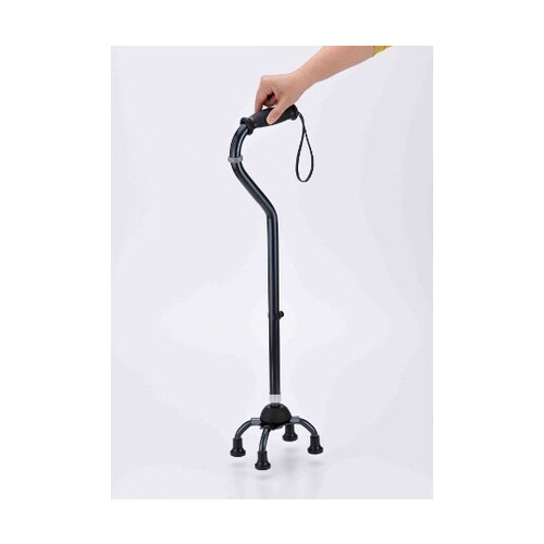 テトラ・ケイン ミディ フレックス 青墨 S