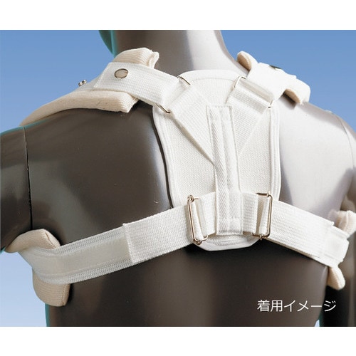 クラビクルベスト LL