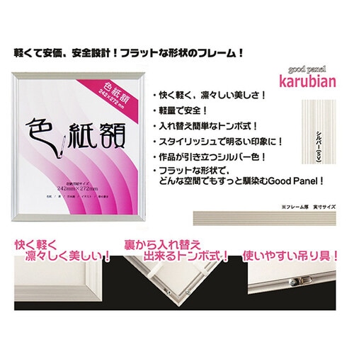 カルビアン 色紙額 シルバー