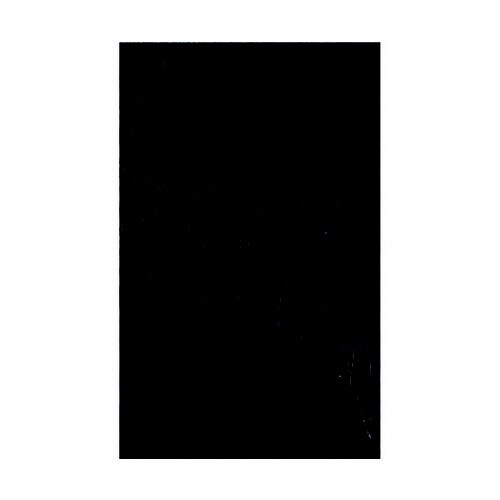 フルウィッグ ブラック