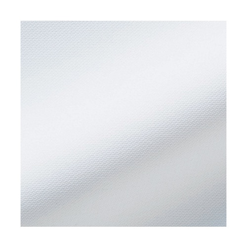 ドクターコートレディス長袖W ホワイト 3L