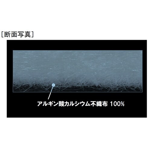 プラスモイストHS−W 80×120mm 10枚入