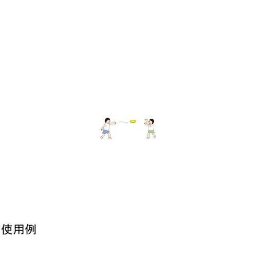 ソフトフォームディスク