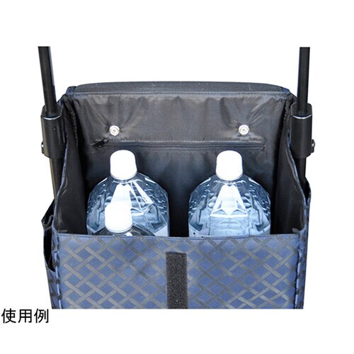 ウォーキングキャリー