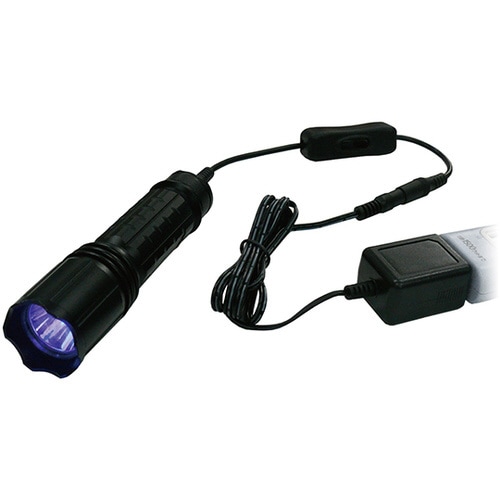 ブラックライト