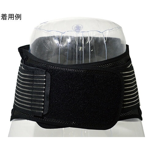 ささえ 腰ガード 腰痛対策サポーター XL