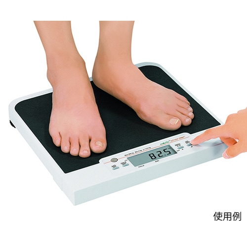 フラットスケール(検定付)