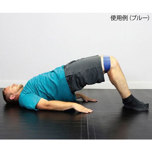 ループバンド(ラテックス製) 762mm ブルー