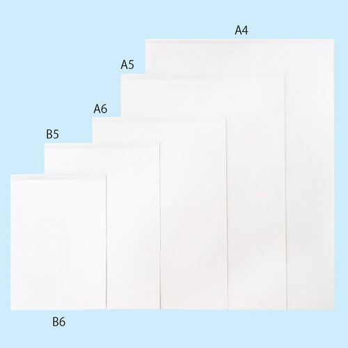 プリンター薬袋 B5サイズ 500枚入