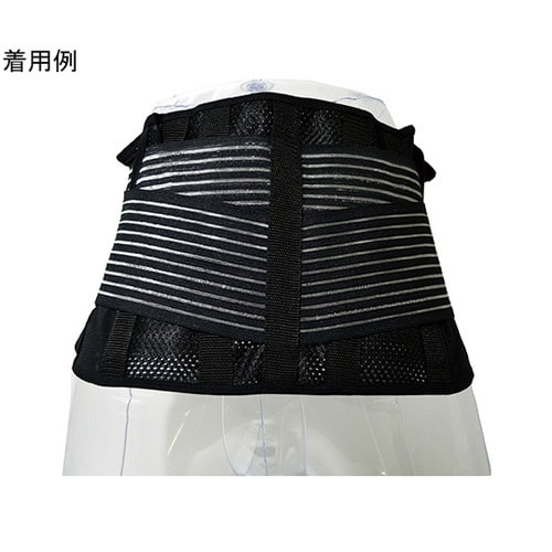 ささえ 腰ガード 腰痛対策サポーター L