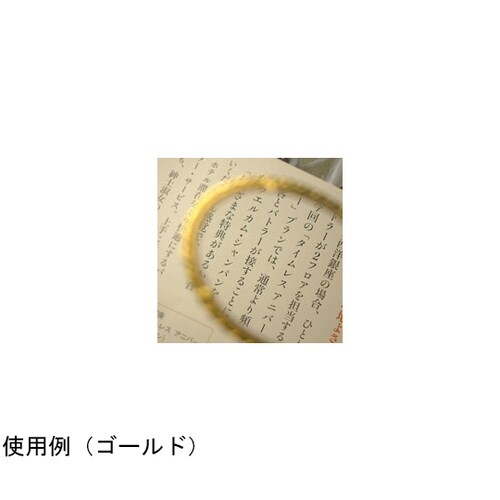 ペンダント ルーペ 銀 縦50×横32×高5