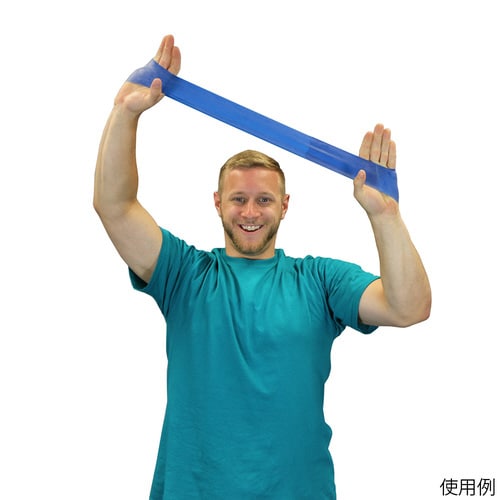 ループバンド(ラテックス製) 508mm ブルー