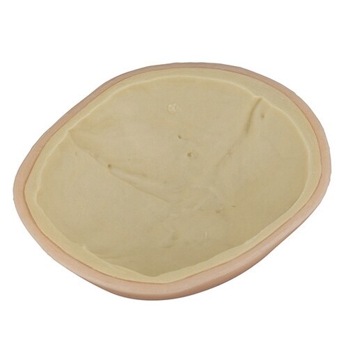 訓練用モデル(ナビトレ) 頭部縫合モデル