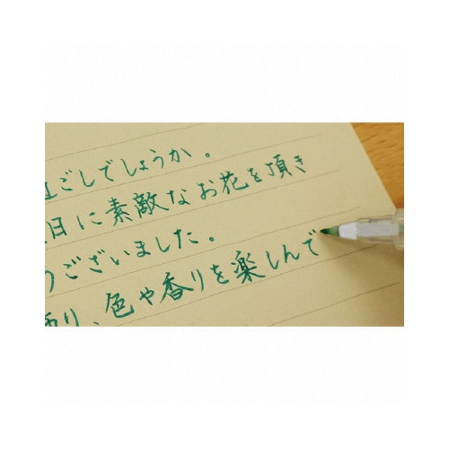 からっぽペン ほそ芯 ほそふで芯×10