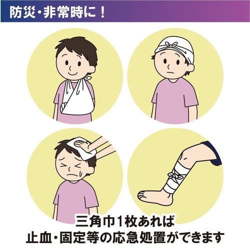 三角きんフチトリ L