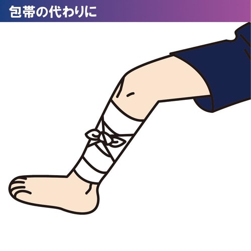 三角きんフチトリ L