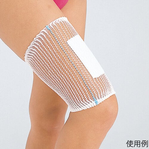 ネットホータイ No.4 頭・大腿用 10包入