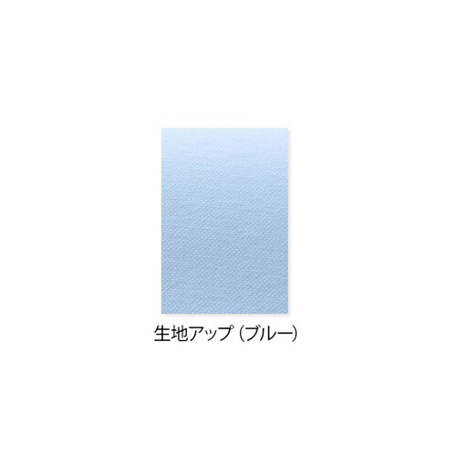 女子シングル診察衣 ブルー LL