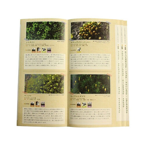 コケ観察セット