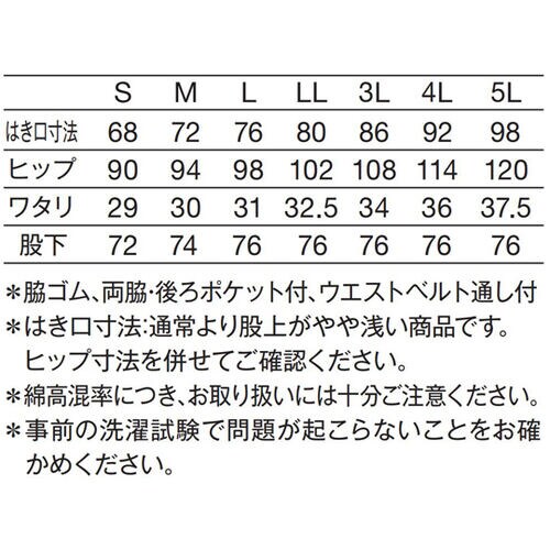 レディスパンツ ネイビー 3L