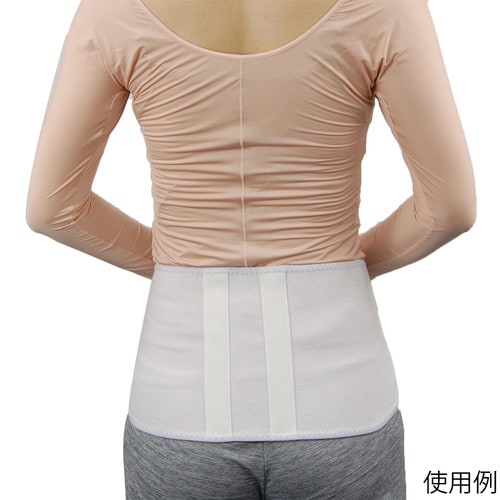 ライーブスマート M