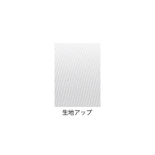 女子スクラブ Tスカイブルー LL