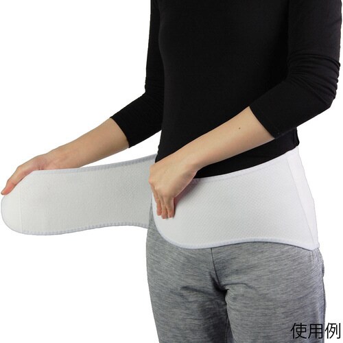 ライーブスマート L