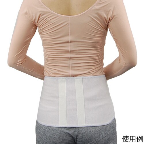 ライーブスマート L