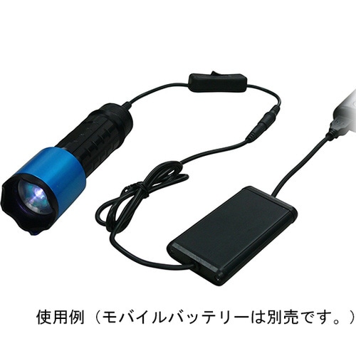 ブラックライト