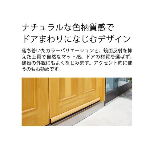 ドアドア ムシヘル匠 スタンダードタイプ チェリー