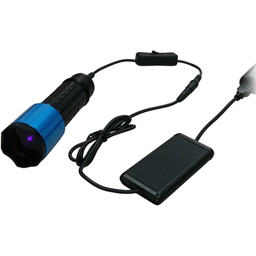 ブラックライト