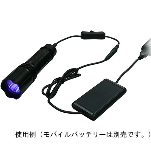 ブラックライト