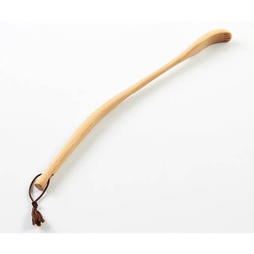 ブナ 孫の手 大