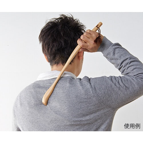 ブナ 孫の手 大