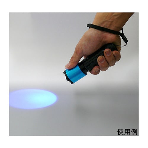 ブラックライト