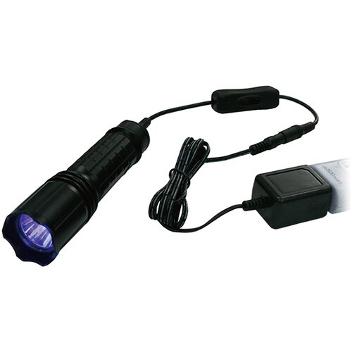 ブラックライト