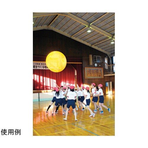 ジャンボゲームボール120