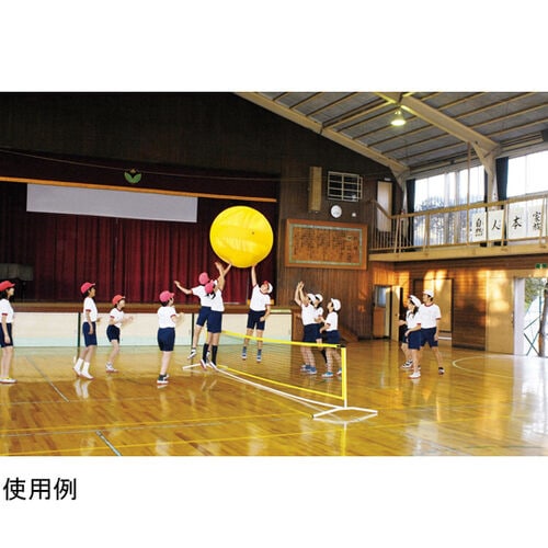 ジャンボゲームボール120