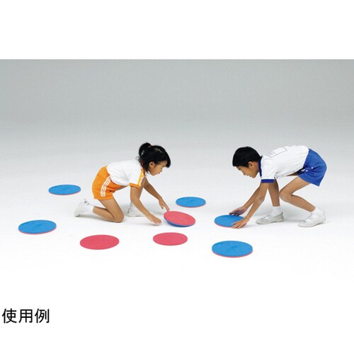 室内ツートンカラーディスク25