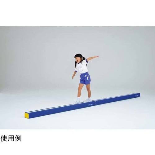 プレイフォームマット D