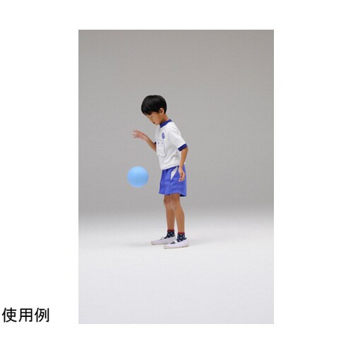 ソフトエアカラーボール15