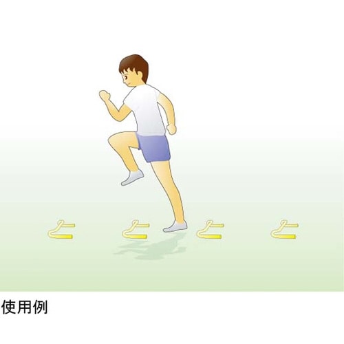 ステップハードル 10