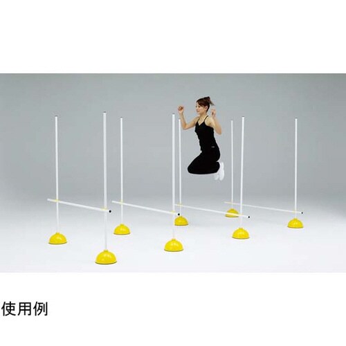 エクササイズドームハードル 4