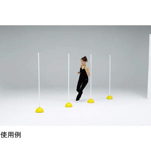 エクササイズドームハードル 4