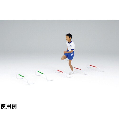 バックウエイトハードル20